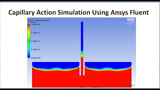 Capillary Action Simulation Using Ansys Fluent [upl. by Marelda]