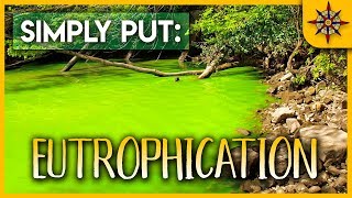 Eutrophication Explained [upl. by Gratianna]