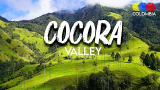 Cocora Valley Colombia Tour  Traveling Colombia [upl. by Hastie671]