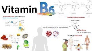 Vitamin B6 Benefits Deficiencies Causes Symptoms and Sources – Dr Berg [upl. by Marie-Ann]