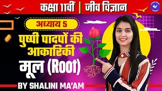 मूल  Root  L  1  पुष्पी पादपों की आकारिकी  Class 11 Biology Chapter 5 by Shalini Maam [upl. by Delastre]