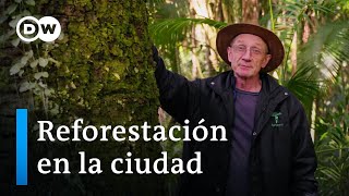 ¿Pueden los árboles paliar la crisis climática  DW Documental [upl. by Lucille158]