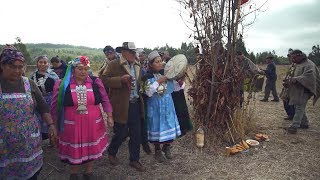 Mapuche Saving Indigenous Language [upl. by Acirdna]