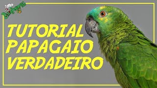 Tutorial Papagaio Verdadeiro [upl. by Maddalena]