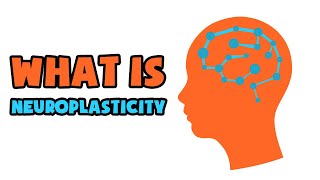 What is Neuroplasticity  Explained in 2 min [upl. by Durr]