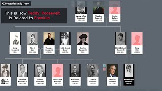 Roosevelt Family Tree to the 1600s [upl. by Mitchel145]