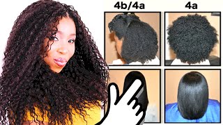 Natural Hair Types EXPLAINED In Detail w PICTURES 4C 4B amp 4A HAIR CHART [upl. by Touber907]