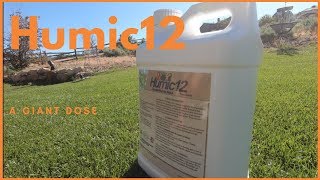 Humic 12 Humic Acid For Lawns Application Extremely High Rate [upl. by Pas908]