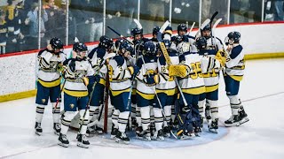 River Falls Wildcats Varsity Hockey vs RegisAltoonaMcDonell WIAA Playoffs [upl. by Zucker757]