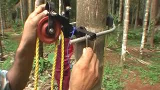 ARECANUT TREE CLIMBER WITH HARVESTING DEVICE [upl. by Jonme]