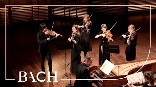 Bach  Orchestral Suite no 3 in D major BWV 1068  Mortensen  Netherlands Bach Society [upl. by Ahsaei701]