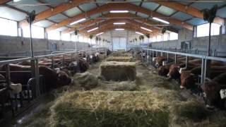 Aveyron  lesprit des filières allaitantes  vidéo [upl. by Schreck]