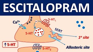 Escitalopram Lexapro  Mechanism precautions side effects amp uses [upl. by Esom]