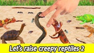 EN Lets raise creepy reptiles 2 reptile and insect names for children collecta figuresㅣCoCosToy [upl. by Regni]