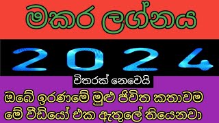 මකර ලග්නය 2024  lagna palapala 2024 makara [upl. by Means131]