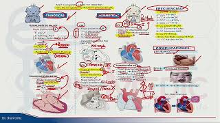 ESI 2019 PEDIATRÍA CARDIOPATÍAS CONGÉNITAS  DR JHON ORTIZ [upl. by Wernick]