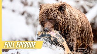 Wild Canada  The Wild West  Full Episode [upl. by Conal]