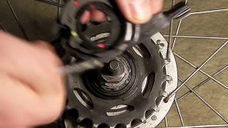 Shimano Nexus Alfine 78 Gear cassette Installing and adjusting [upl. by Strepphon]