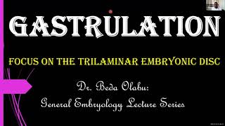 3RD WEEK OF DEVELOPMENT  GASTRULATION amp DERIVATIVES OF GERM LAYERS [upl. by Delorenzo549]
