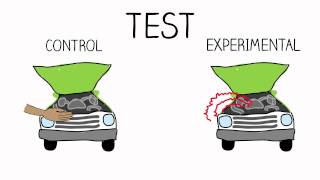 Research Methods Experimental Design [upl. by Rolo]