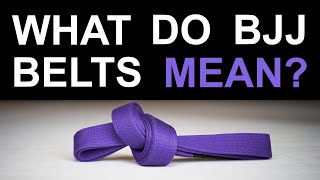 What Do BJJ Belts Mean [upl. by Rhett]