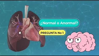 Sonidos Respiratorios Normales y Anormales  Guía Medica [upl. by Rowena]