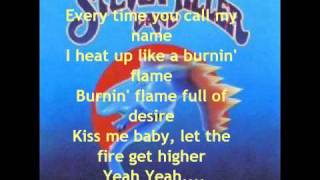 The Steve Miller Band  Abracadabra with lyrics [upl. by Aneerbas]