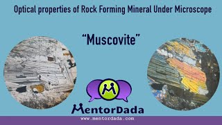 Optical Properties of Rock forming Minerals under Microscope  Thin Section  Muscovite  Mica [upl. by Cohe508]