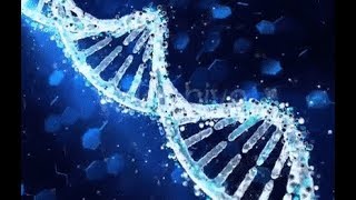 DNA Structure  Explained in Tamil [upl. by Rolland540]