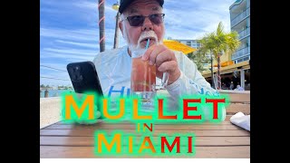 Mullet in Miami [upl. by Daisy339]