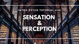 Introduction to Sensation and Perception Intro Psych Tutorial 40 [upl. by Langston]