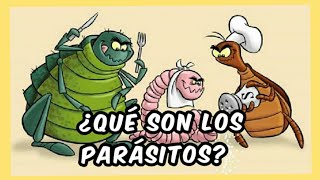 La clasificación de los parásitos  parásitos [upl. by Mosora939]