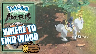 Pokemon Legends Arceus  Where to Find Wood Location [upl. by Will]