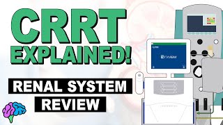 Renal System Review  CRRT Explained [upl. by Lohse]