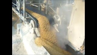 100 Ton per day PaddyRice Parboiling Plant [upl. by Bern]