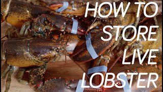 How To Make Lobster Tails  Garlic Butter Lobster Tail Recipe MrMakeItHappen LobsterTails [upl. by Wyatan]