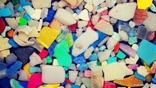 What Are Microplastics And How Are They Harming Our Oceans Plastic Pollution  Behind the News [upl. by Wyn]