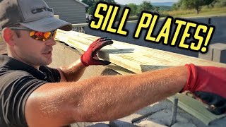 How To Install A Sill Plate On A Foundation [upl. by Darrill204]