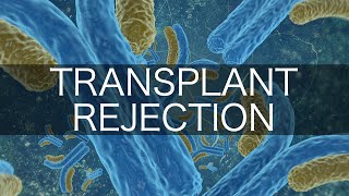 Transplant Rejection [upl. by Brasca]