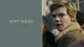 all newt scenes [upl. by Ellsworth827]