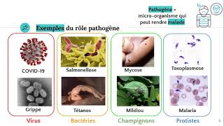 Les microorganismes pathogènes 🦠 [upl. by Naryb]