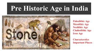 PLSHistory L01Paleolithic Age Mesolithic Age Neolithic Age Chalcolithic Age Iron Age [upl. by Ariait]