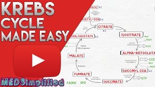 KREBS CYCLE MADE SIMPLE  TCA Cycle Carbohydrate Metabolism Made Easy [upl. by Eihtur]