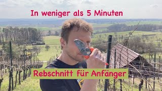 Rebschnitt für Anfänger [upl. by Elbart]