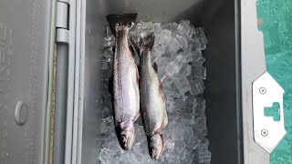 HOW TO CLEAN Fish To Eat EASY amp FAST  KastKing [upl. by Clardy]