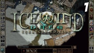 Lets Play Icewind Dale Enhanced Edition Gameplay 1  Hrothgar  Playthrough Walkthrough PC HD [upl. by Deacon715]