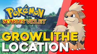 Pokemon Scarlet amp Violet Growlithe Location [upl. by Lairea]