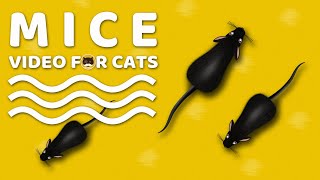 CAT GAMES  Mice Mouse Sounds Video for Cats  CAT amp DOG TV [upl. by Rudwik]