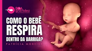 COMO O BEBÊ RESPIRA DENTRO DA BARRIGA Como que ele não se afoga  Boa Gravidez [upl. by Tneciv198]