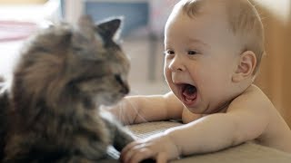 عندما يلعب الأطفال مع القطط  الرضع والقطط  عالم الأطفال  Baby and Cat Fun [upl. by Ahseken]